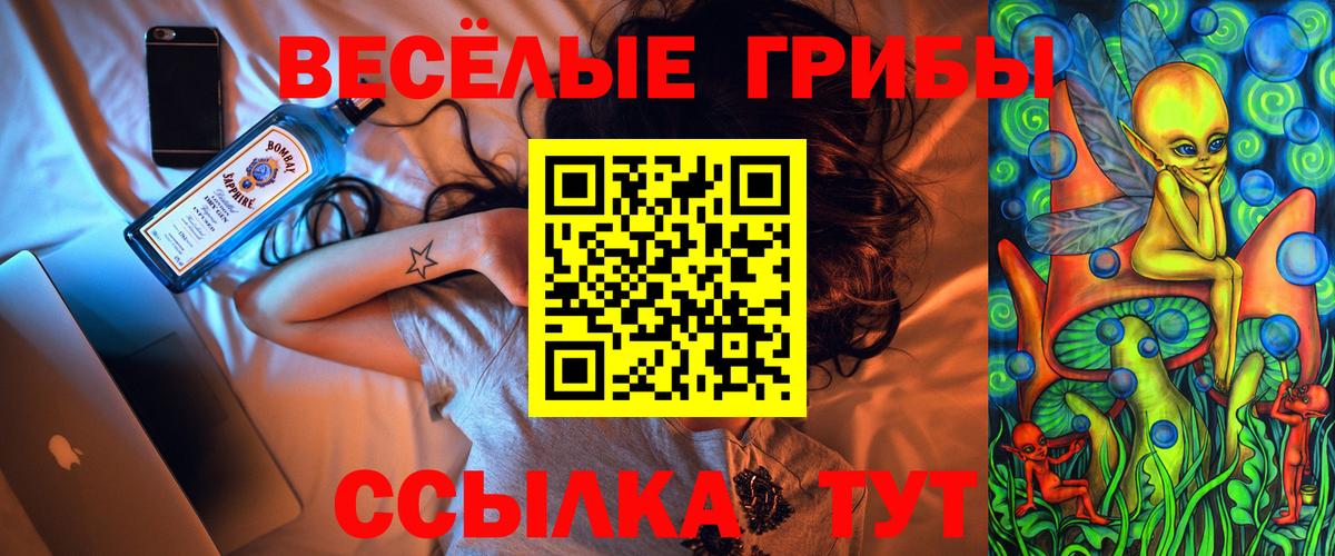 Галлюциногенные грибы GOLDEN TEACHER Аргун