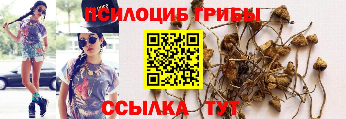 Псилоцибиновые грибы Cubensis  Псилоцибиновые грибы ЛСД  наркошоп  Вход с VPN  Аргун 
